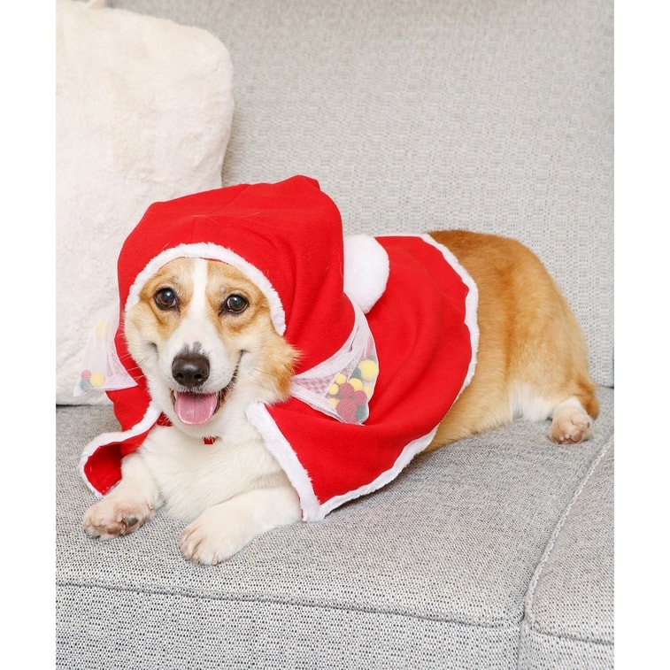 Petorama Christmas Cape - 2XL